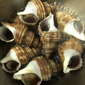 簡単おつまみ ツブ貝の生姜煮 レシピ 作り方 By M H 楽天レシピ 簡単おつまみ ツブ貝の生姜煮 レシピ 作り方 By M H 楽天レシピ